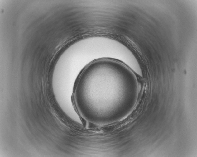 X0000087590552200705112306