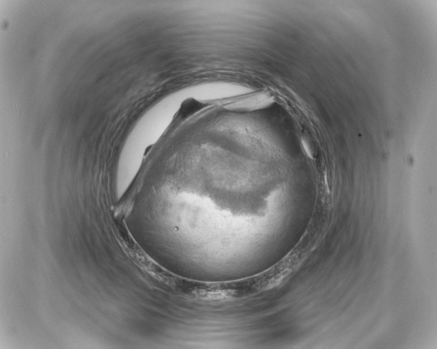 X0000087590553200705112306