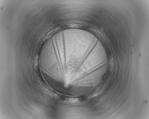 X0000087590554200705112306