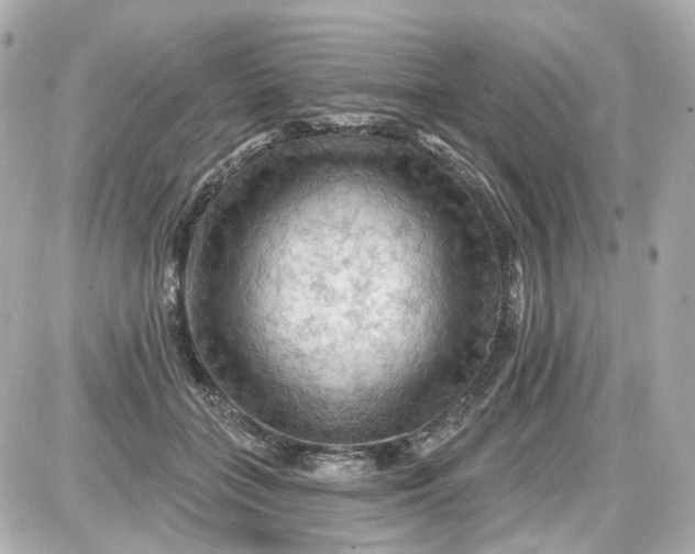 X0000087590555200705112306