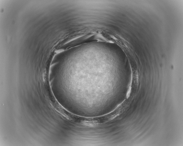 X0000087590556200705112306