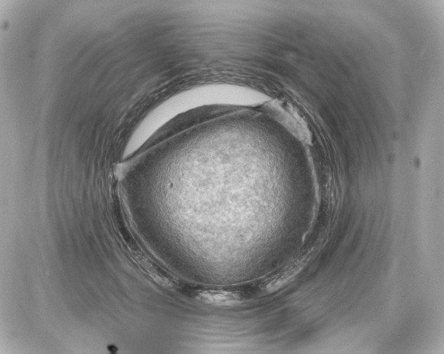 X0000087590557200705112306