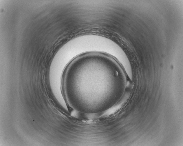 X0000087590558200705112306