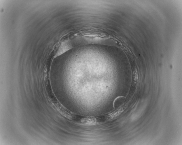 X0000087590559200705112306