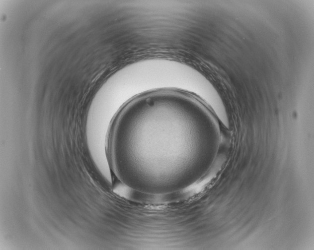 X0000087590560200705112306