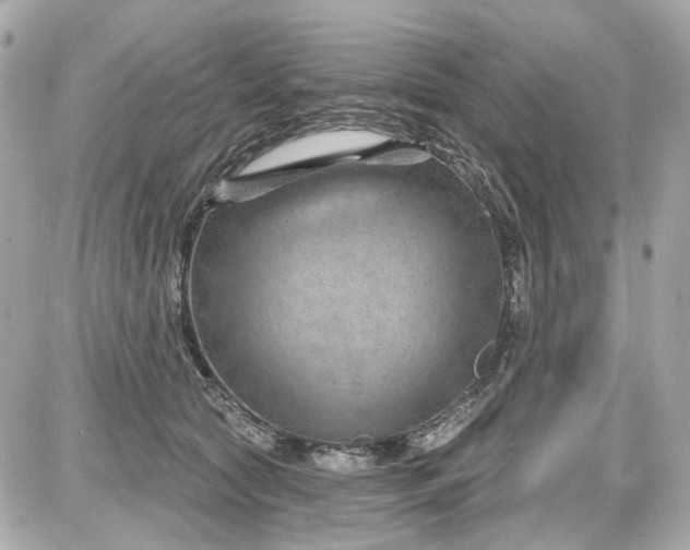 X0000087590561200705112306