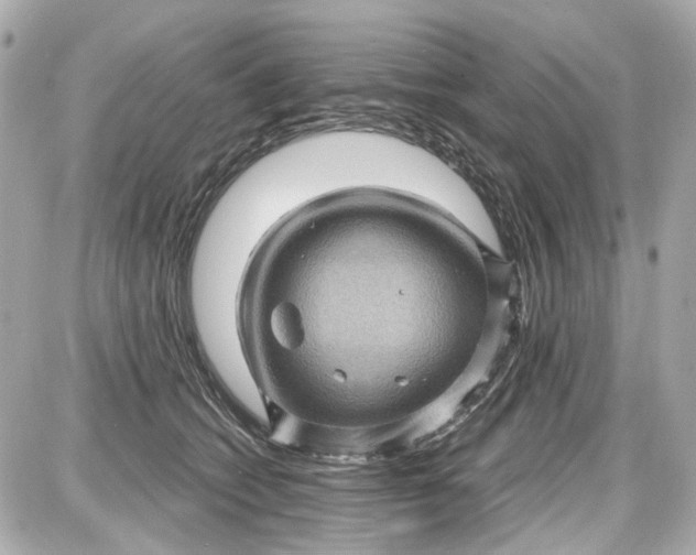 X0000087590562200705112306