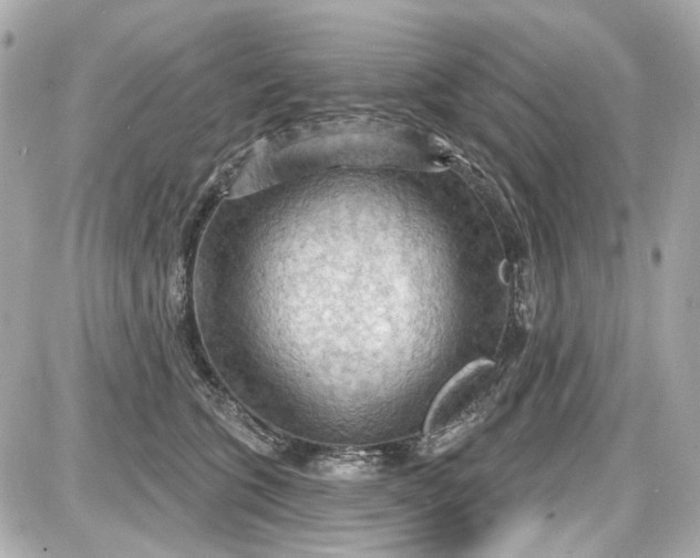 X0000087590563200705112306