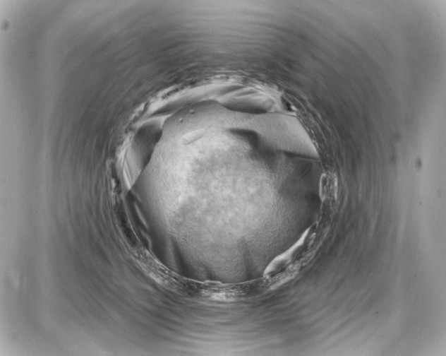 X0000087590564200705112306