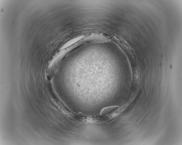 X0000087590565200705112306