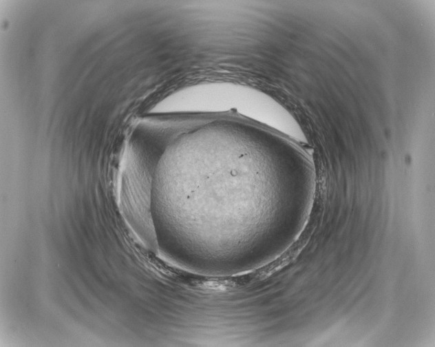 X0000087590566200705112306