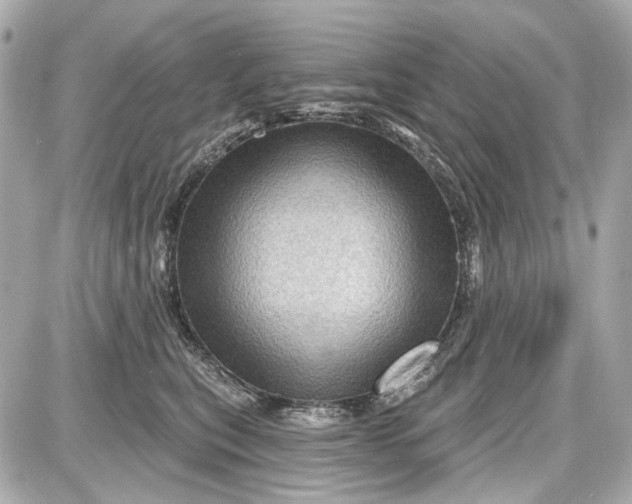 X0000087590567200705112306