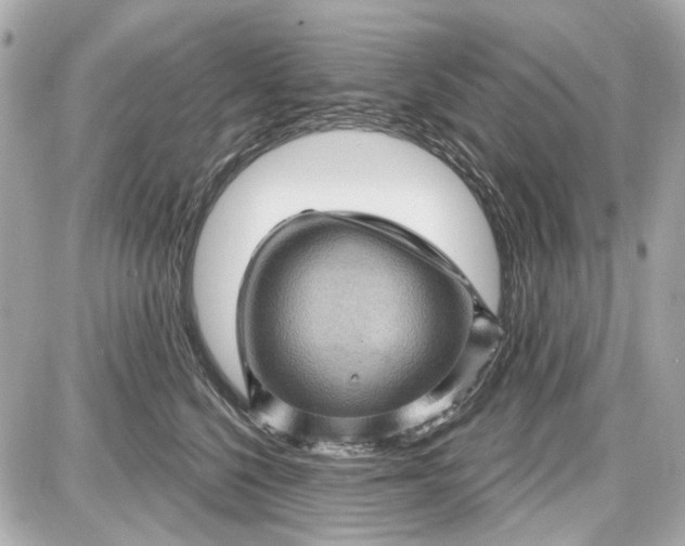 X0000087590568200705112306