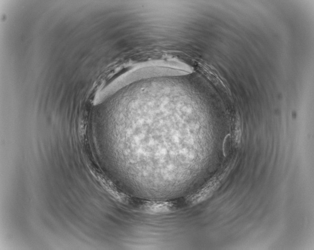 X0000087590569200705112306