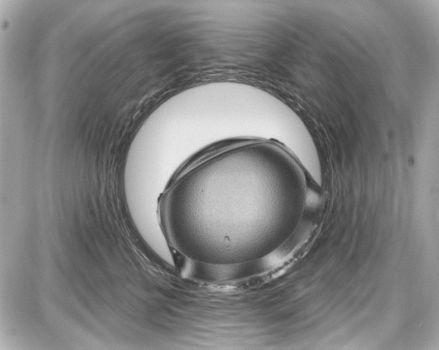 X0000087590570200705112306