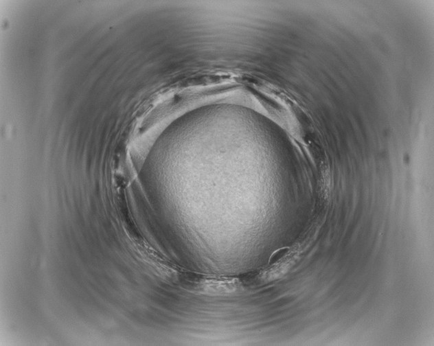 X0000087590571200705112306