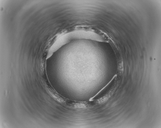 X0000087590572200705112306