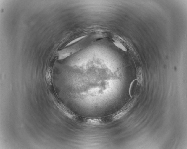 X0000087590573200705112306