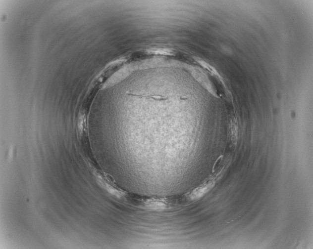 X0000087590574200705112306