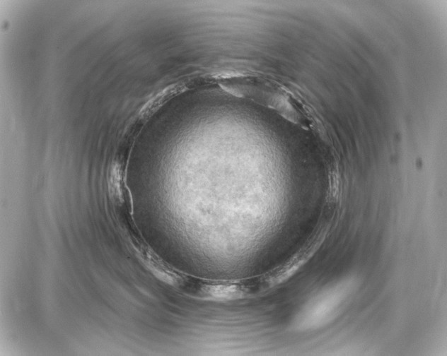 X0000087590575200705112306