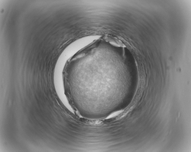 X0000087590576200705112306