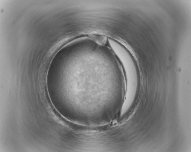 X0000087590577200705112305