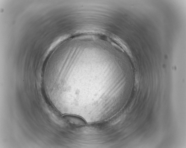 X0000087590578200705112305