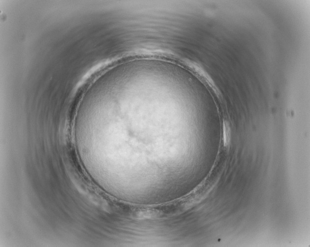 X0000087590579200705112305