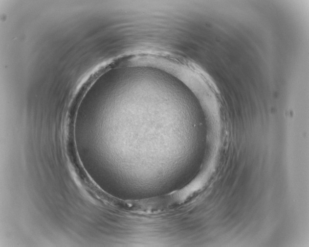 X0000087590580200705112305