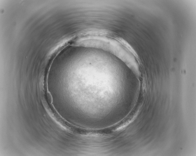 X0000087590581200705112305