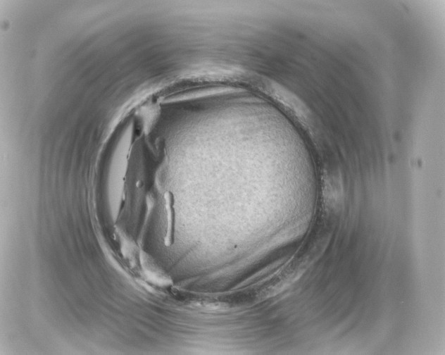 X0000087590582200705112305