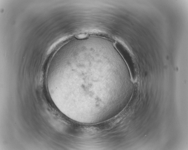 X0000087590583200705112305