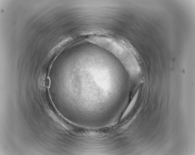 X0000087590585200705112305