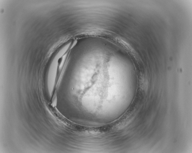 X0000087590586200705112305