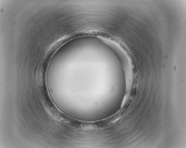 X0000087590587200705112305