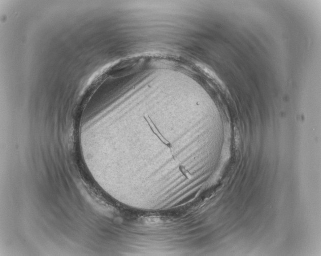 X0000087590588200705112305