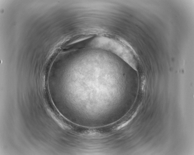 X0000087590589200705112305