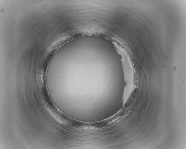 X0000087590590200705112305