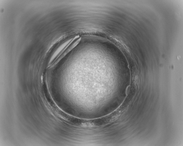 X0000087590591200705112305