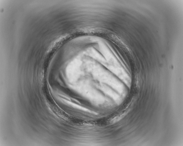 X0000087590592200705112305