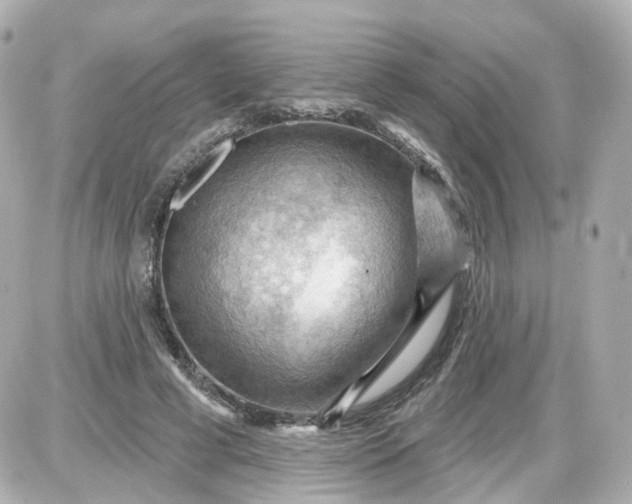 X0000087590593200705112305