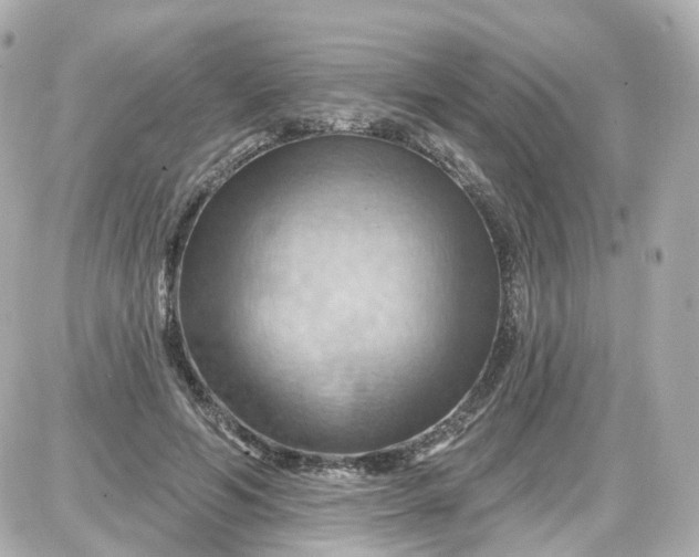 X0000087590594200705112305