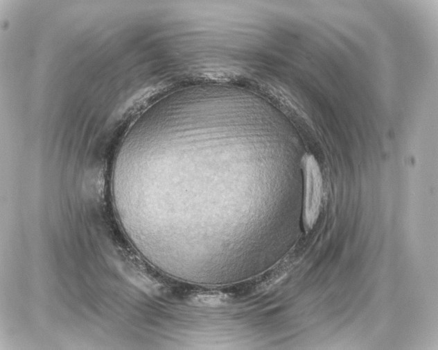 X0000087590595200705112305