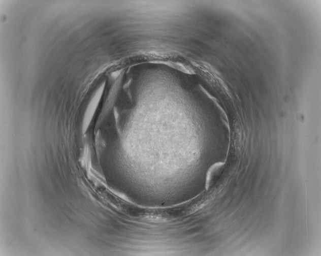 X0000087590596200705112305