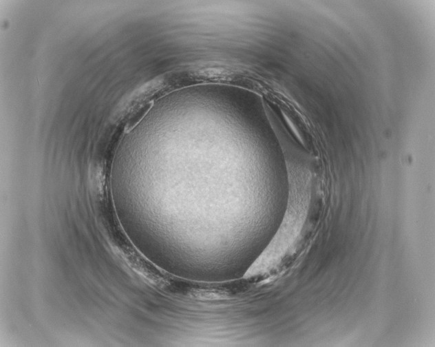 X0000087590597200705112305