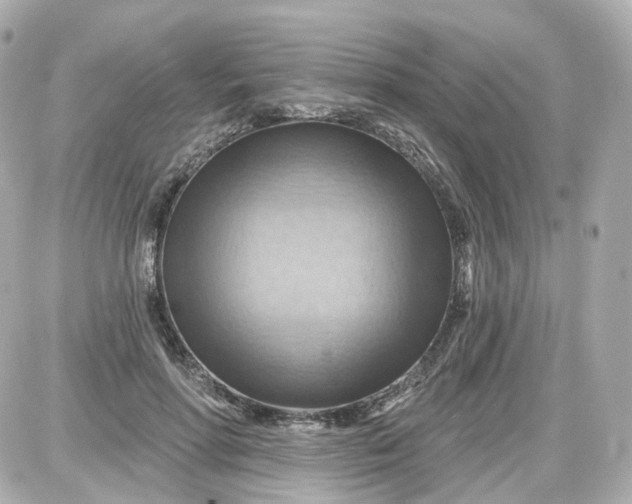 X0000087590598200705112305