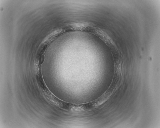 X0000087590599200705112305