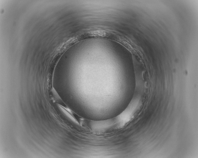 X0000087590600200705112305