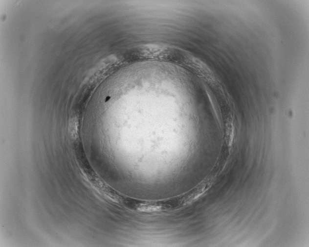 X0000087590602200705112305