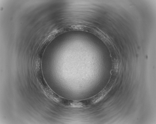 X0000087590603200705112305